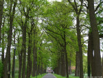 Gravenallee klooster
